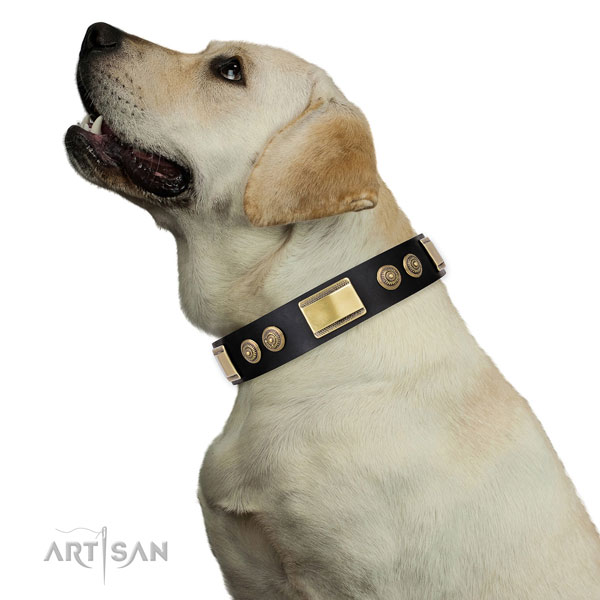 Inimitable adornments on handy use dog collar