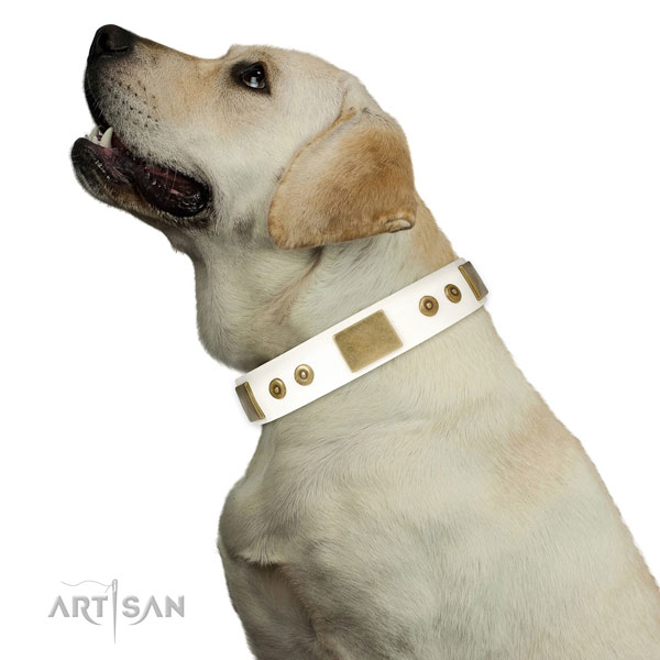 High quality basic training dog collar of genuine leather