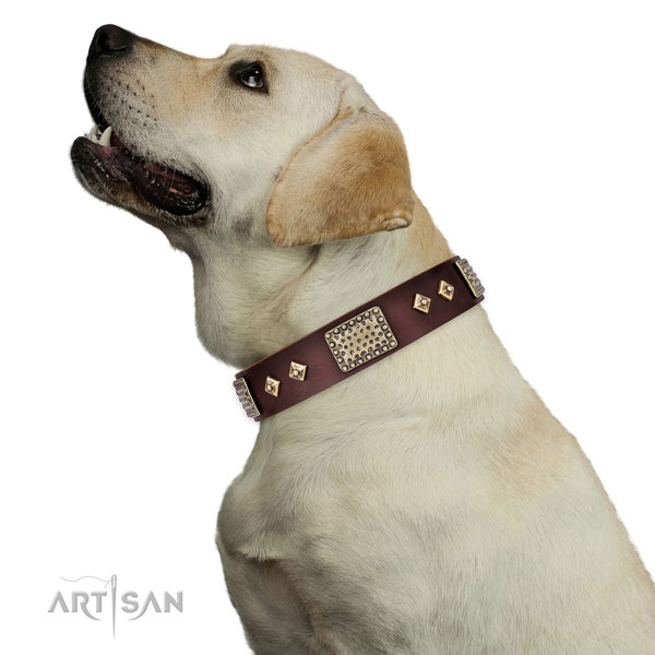 Top notch daily use dog collar of genuine leather