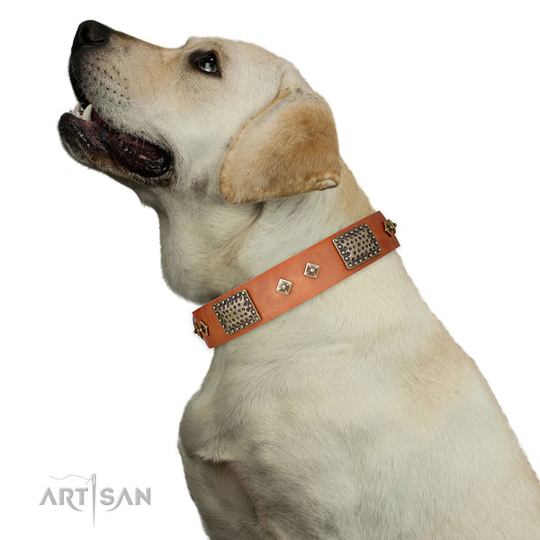 Durable stylish walking dog collar of genuine leather