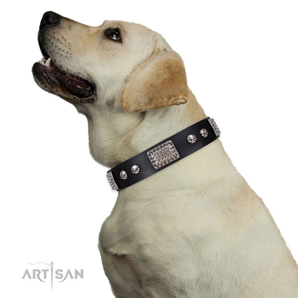 Fine quality leather collar for your lovely doggie