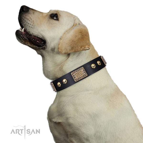 Strong buckle on natural genuine leather dog collar for everyday walking