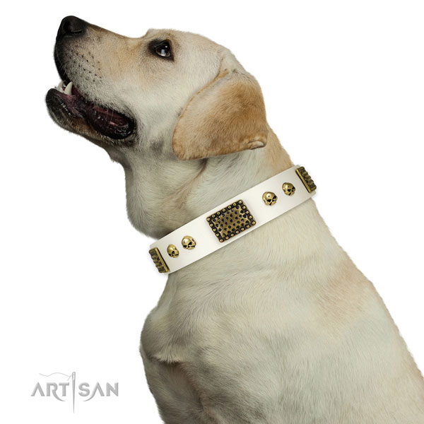 Rust-proof buckle on full grain natural leather dog collar for basic training