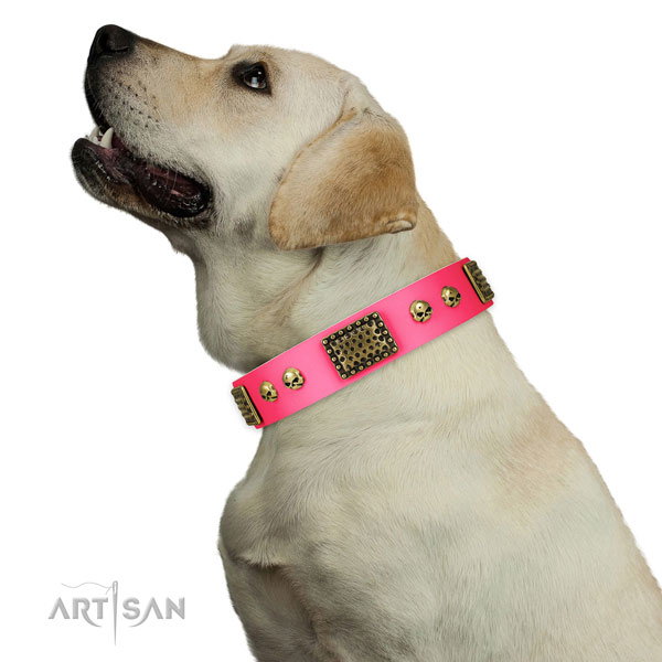 Strong traditional buckle on natural leather dog collar for easy wearing