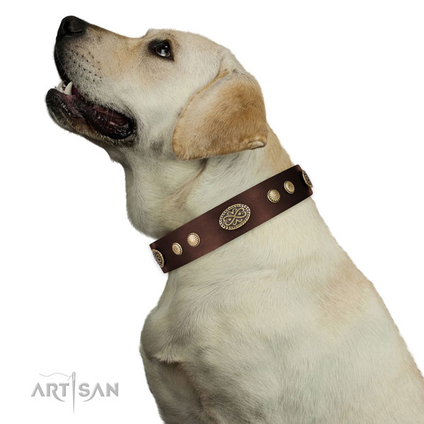 Corrosion proof traditional buckle on genuine leather dog collar for daily use