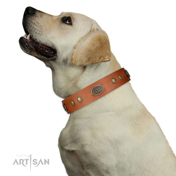 Rust-proof buckle on full grain natural leather dog collar for everyday use