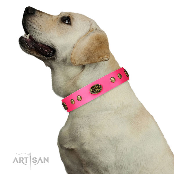 Durable fittings on genuine leather dog collar for daily walking