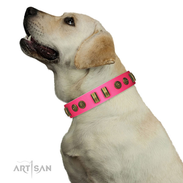 Easy wearing dog collar of natural leather with unique studs