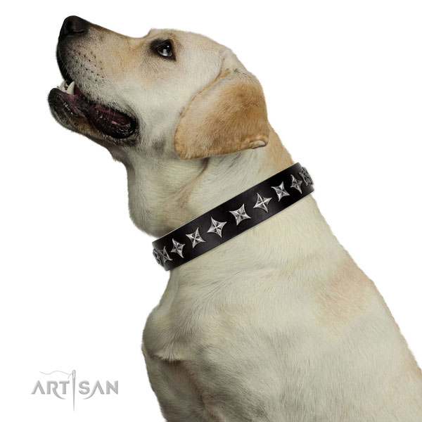 Everyday use studded dog collar of top notch leather