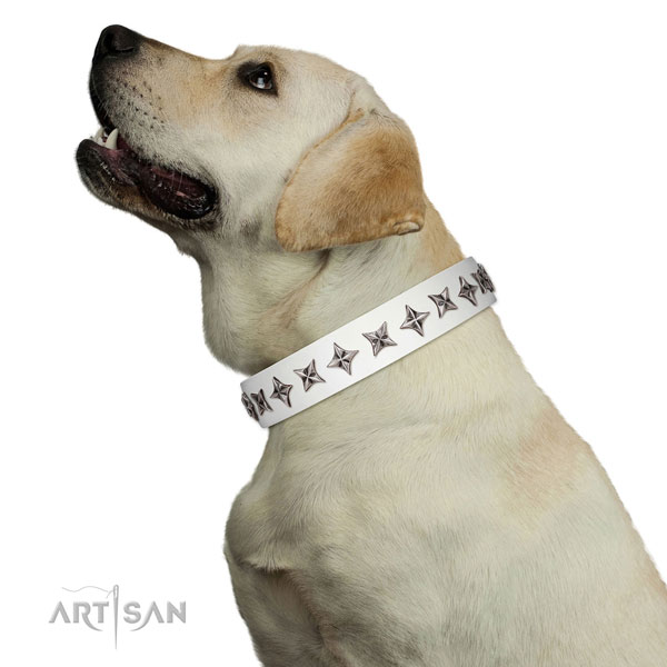 Reliable full grain genuine leather dog collar with significant studs