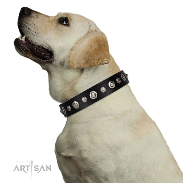 Top notch full grain natural leather dog collar with trendy studs