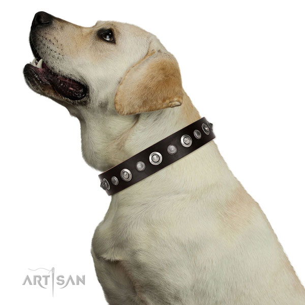 Top notch full grain natural leather dog collar with significant embellishments