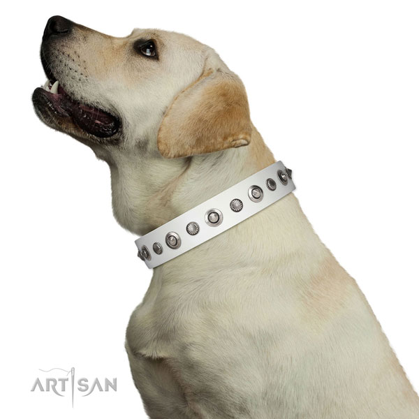 Genuine leather collar with strong traditional buckle for your stylish doggie