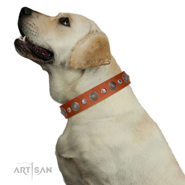 Exceptional Full grain natural leather dog collar with corrosion proof hardware