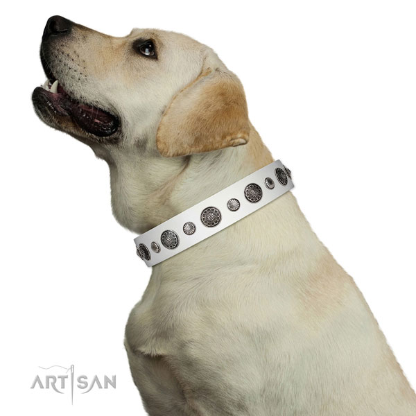 Fashionable leather dog collar with corrosion resistant fittings