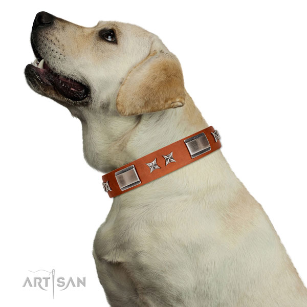 Everyday use gentle to touch full grain natural leather dog collar with decorations