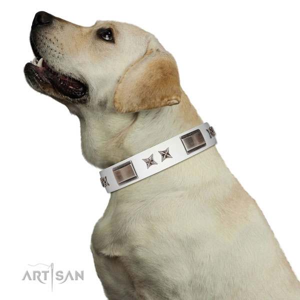 Studded collar of full grain genuine leather for your attractive canine
