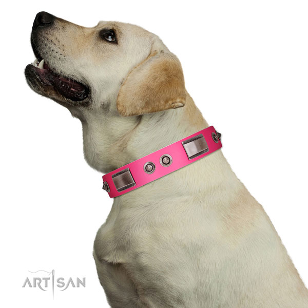 Easy to adjust full grain leather dog collar with adornments