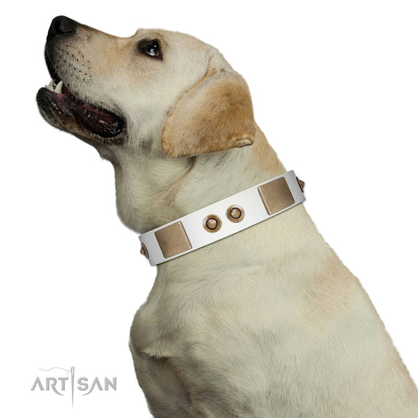 Comfortable wearing dog collar of natural leather with top notch decorations