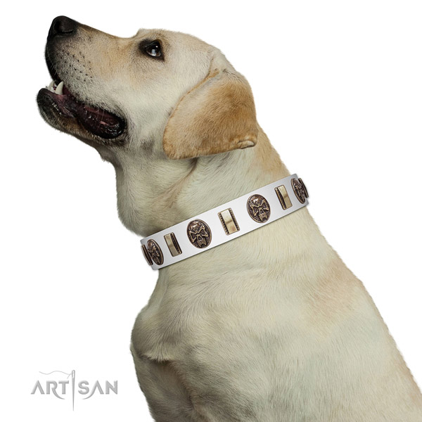 Full grain genuine leather dog collar with significant studs