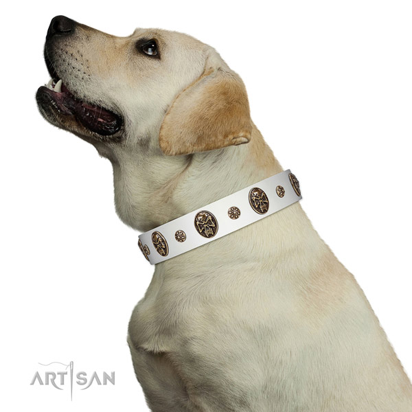 Handy use dog collar of genuine leather with designer decorations