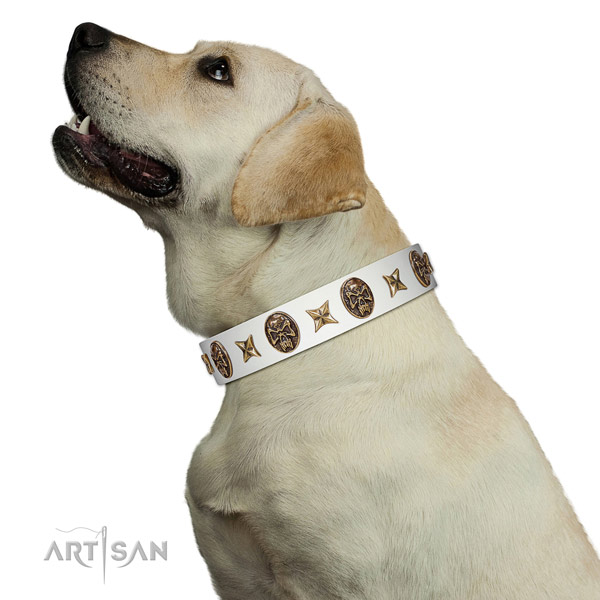 Extraordinary dog collar created for your lovely four-legged friend