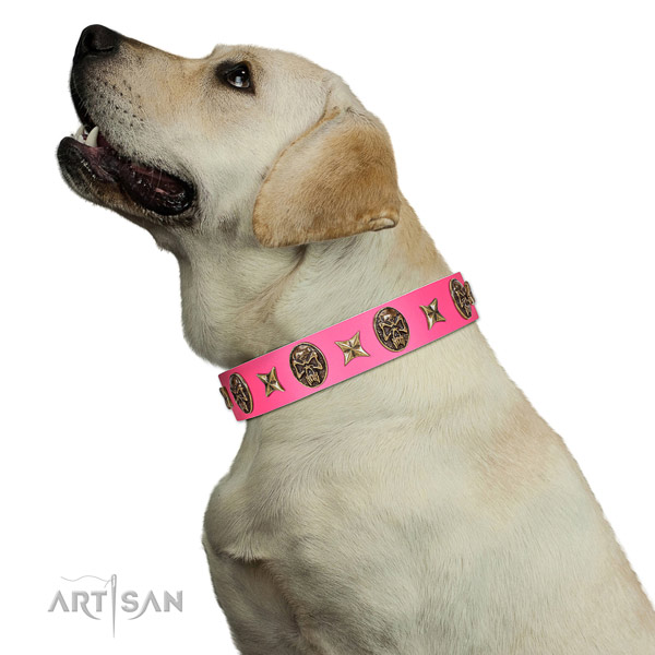 Fine quality dog collar crafted for your stylish pet