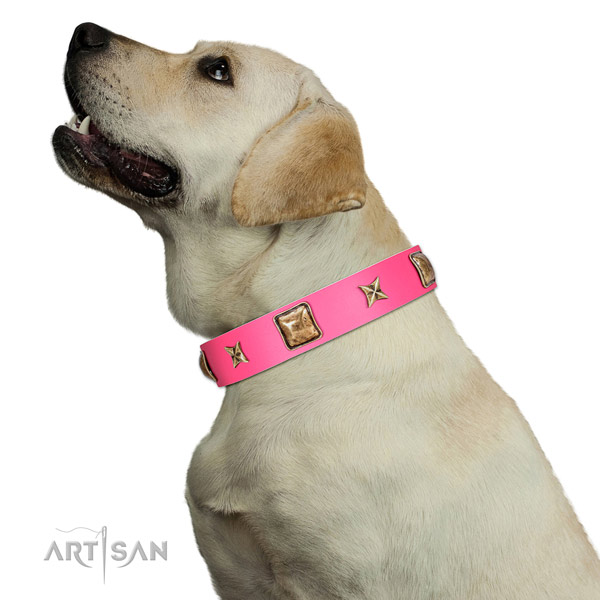Genuine leather dog collar of quality material with stylish adornments