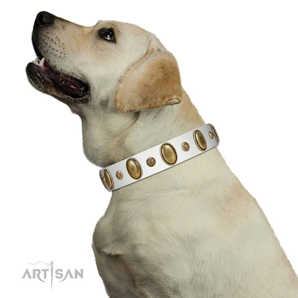 Everyday use soft full grain genuine leather dog collar with embellishments