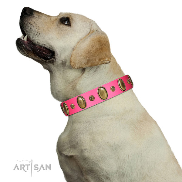 Easy wearing soft full grain natural leather dog collar with adornments