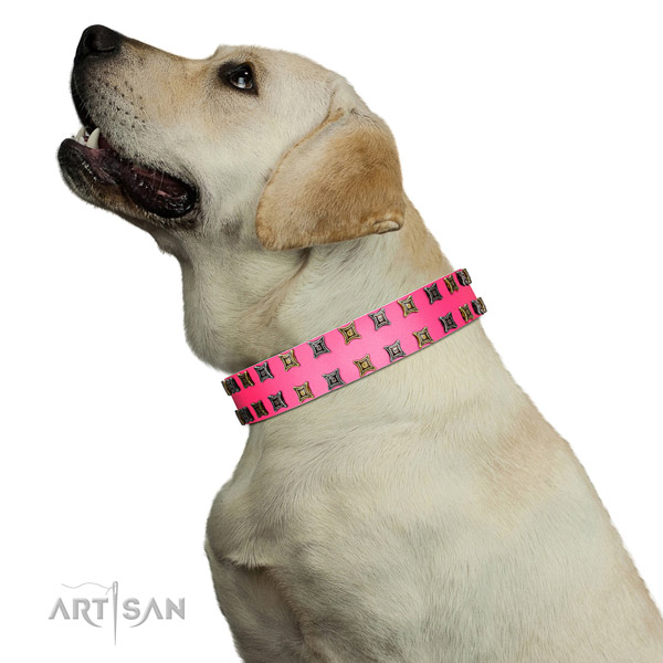Soft to touch leather dog collar with decorations for your four-legged friend