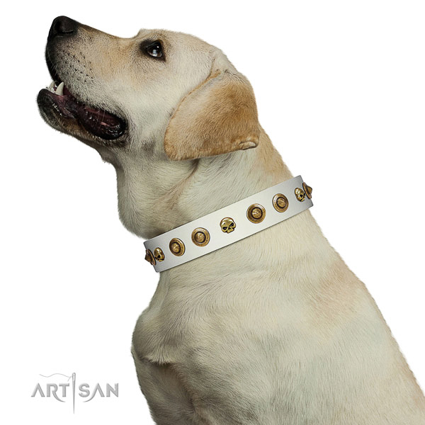 Top notch full grain genuine leather dog collar with decorations for your doggie