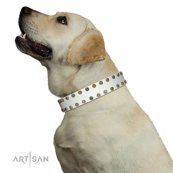 Extraordinary full grain leather dog collar with reliable embellishments