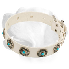 Walking Fashionable Leather Dog Collar for Labrador