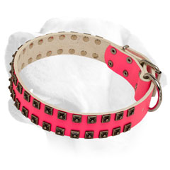 Studded Leather Pink Labrador Collar