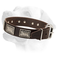 Decorated Walking Leather Dog Collar for Labrador