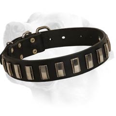 Walking Leather Dog Collar For Labrador