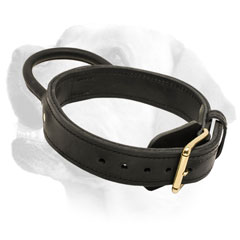 Leather Labrador Collar with Brass Buckle Walking