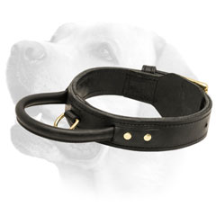 Leather Labrador Collar with Handle Training
