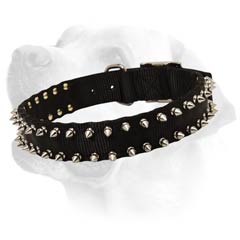 Adjustable Nylon Labrador Collar with Spikes