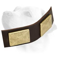 Wearproof Decorative Leather Collar For Labrador