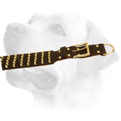 Handcrafted Decorative Buckled Leather Collar For Large Labrador