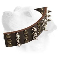 Labrador Handcrafted Leather Dog Decorative Collar