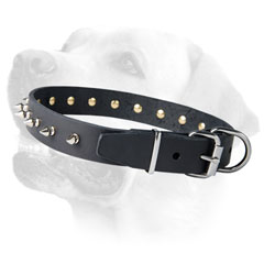 Labrador Spiked  Leather Dog Collar