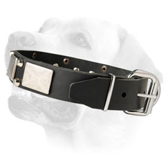 Originally Designed Labrador Dog Collar