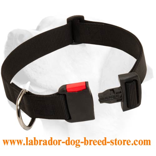 Labrador Lightweight Nylon Collar
