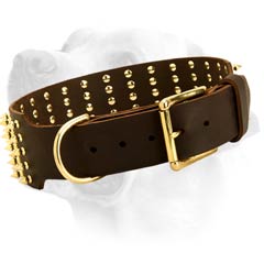 Buckled Leather Collar For Labrador