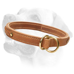 Silent Leather Collar With Brass Fittings