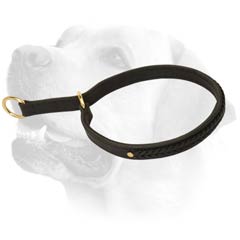 Silent Leather Collar With Brass Fittings