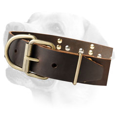 Labrador Handcrafted Leather Dog Decorative Collar